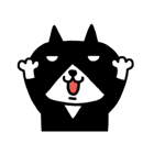 003