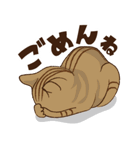 ひとくり執事ねこ まろん（個別スタンプ：37）