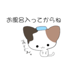 猫！既読したニャン（個別スタンプ：2）