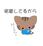 猫！既読したニャン（個別スタンプ：3）