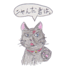 色鉛筆 手書き 猫（個別スタンプ：38）