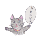 色鉛筆 手書き 猫（個別スタンプ：40）