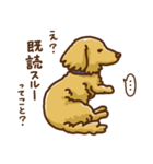 続・愛犬かるびの事情（個別スタンプ：36）