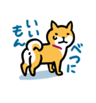 柴犬さんのツボ vol.1（個別スタンプ：18）