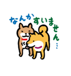 柴犬さんのツボ vol.1（個別スタンプ：22）