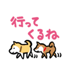 柴犬さんのツボ vol.1（個別スタンプ：23）