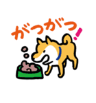 柴犬さんのツボ vol.1（個別スタンプ：29）