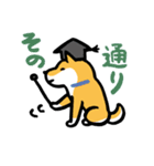 柴犬さんのツボ vol.1（個別スタンプ：32）