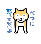 柴犬さんのツボ vol.1（個別スタンプ：34）