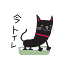 黒猫のマロ（個別スタンプ：20）