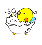 オカメインコのピース（個別スタンプ：6）