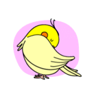 オカメインコのピース（個別スタンプ：8）