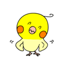 オカメインコのピース（個別スタンプ：11）