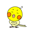 オカメインコのピース（個別スタンプ：17）