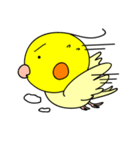 オカメインコのピース（個別スタンプ：24）