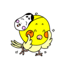 オカメインコのピース（個別スタンプ：33）