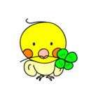 オカメインコのピース（個別スタンプ：34）