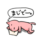 マジで？ネコ（個別スタンプ：23）