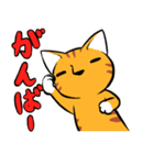 とらねこくんの日常（個別スタンプ：17）