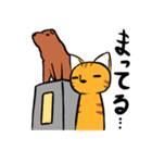 とらねこくんの日常（個別スタンプ：38）