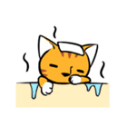 とらねこくんの日常（個別スタンプ：39）