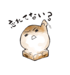 おもち生活（個別スタンプ：15）