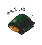 おもち生活（個別スタンプ：20）