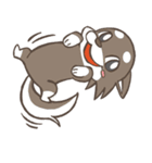 HAPPY CHIHUAHUA FRIENDS（個別スタンプ：2）