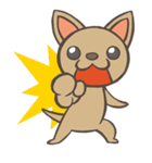 HAPPY CHIHUAHUA FRIENDS（個別スタンプ：12）