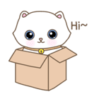 猫は箱が大好き（個別スタンプ：1）