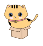 猫は箱が大好き（個別スタンプ：3）