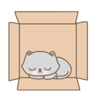 猫は箱が大好き（個別スタンプ：5）