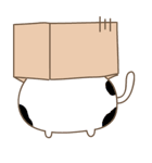 猫は箱が大好き（個別スタンプ：7）