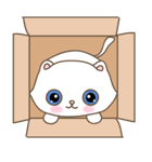 猫は箱が大好き（個別スタンプ：9）
