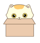 猫は箱が大好き（個別スタンプ：12）