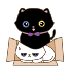 猫は箱が大好き（個別スタンプ：13）