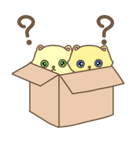 猫は箱が大好き（個別スタンプ：14）