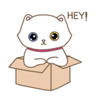 猫は箱が大好き（個別スタンプ：25）