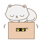 猫は箱が大好き（個別スタンプ：28）