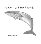 関西弁ゆるゆるクジラ（個別スタンプ：3）