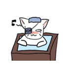 侍猫（個別スタンプ：16）