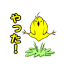 PiyoPiyo（個別スタンプ：12）