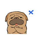 犬です。ぶるたんです。（個別スタンプ：18）
