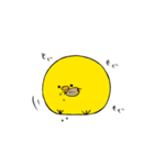 もちひよ（個別スタンプ：29）