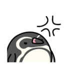 フンボルトペンギンとジェンツーペンギン（個別スタンプ：10）