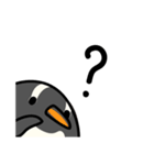 フンボルトペンギンとジェンツーペンギン（個別スタンプ：11）
