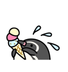 フンボルトペンギンとジェンツーペンギン（個別スタンプ：12）