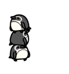 フンボルトペンギンとジェンツーペンギン（個別スタンプ：17）
