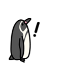 フンボルトペンギンとジェンツーペンギン（個別スタンプ：23）