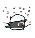フンボルトペンギンとジェンツーペンギン（個別スタンプ：26）